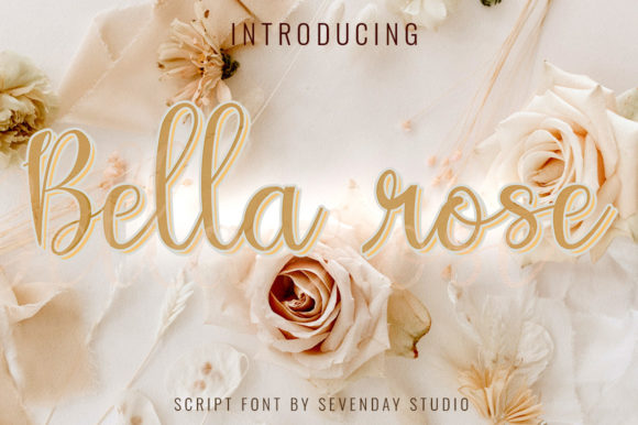 Bella Rose Font: Giving Your Small Business a Polished Signature Look