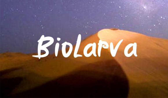 Biolarfa: A Signature Font for Crafters and Creators