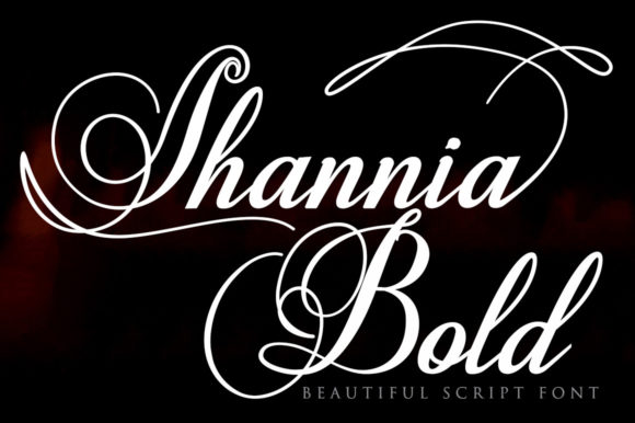 Building a Polished Online Experience with the Shannia Bold Font