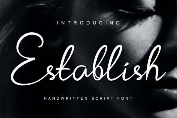 Establish: A Font Designed for Digital Communication