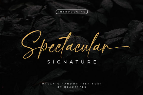 Harnessing Spectacular Signature: A Powerful Font for Modern Marketing