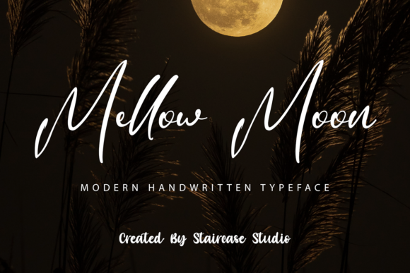 Mellow Moon: A Modern Script Font for Building a Better Brand
