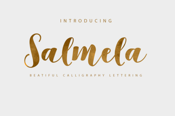 Working with Salmela: A Designer's Hands-On Review